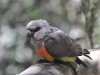 best_of_africa-020