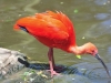 best_of_africa-022