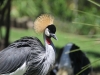 best_of_africa-023