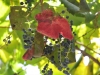 best_of_africa-024