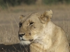 best_of_africa-036