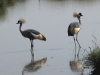 best_of_africa-037