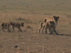 best_of_africa-039