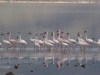 best_of_africa-042
