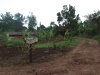 best_of_africa-048