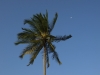 best_of_africa-055