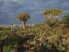 best_of_africa-058