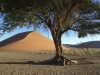 best_of_africa-065