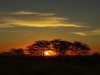 best_of_africa-067