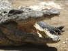 best_of_africa-079