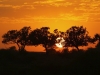 best_of_africa-093