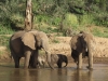 best_of_africa-097