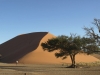 best_of_namibia-23