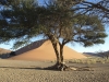 best_of_namibia-24