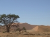 best_of_namibia-25