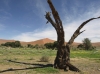 best_of_namibia-27