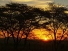 best_of_namibia-29