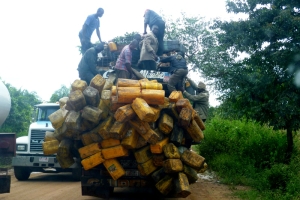 Nigeria